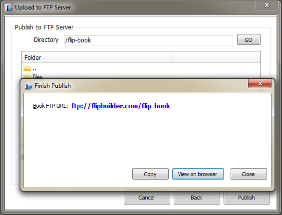 publish to ftp server