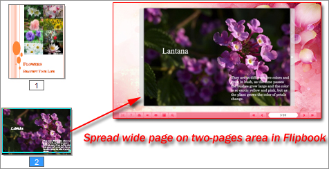 spread wide page in flipbook