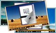 classical_fields