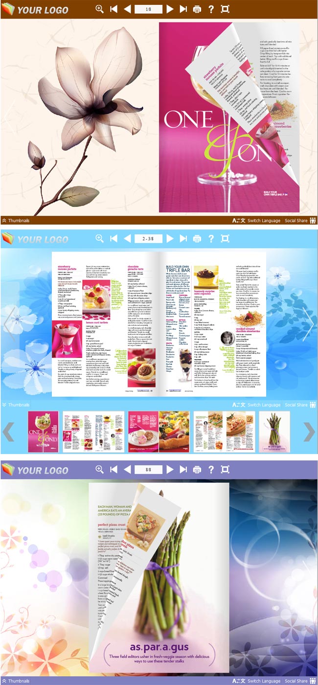 Flipbook_Themes_Package_Neat_Delicate 1.0 full